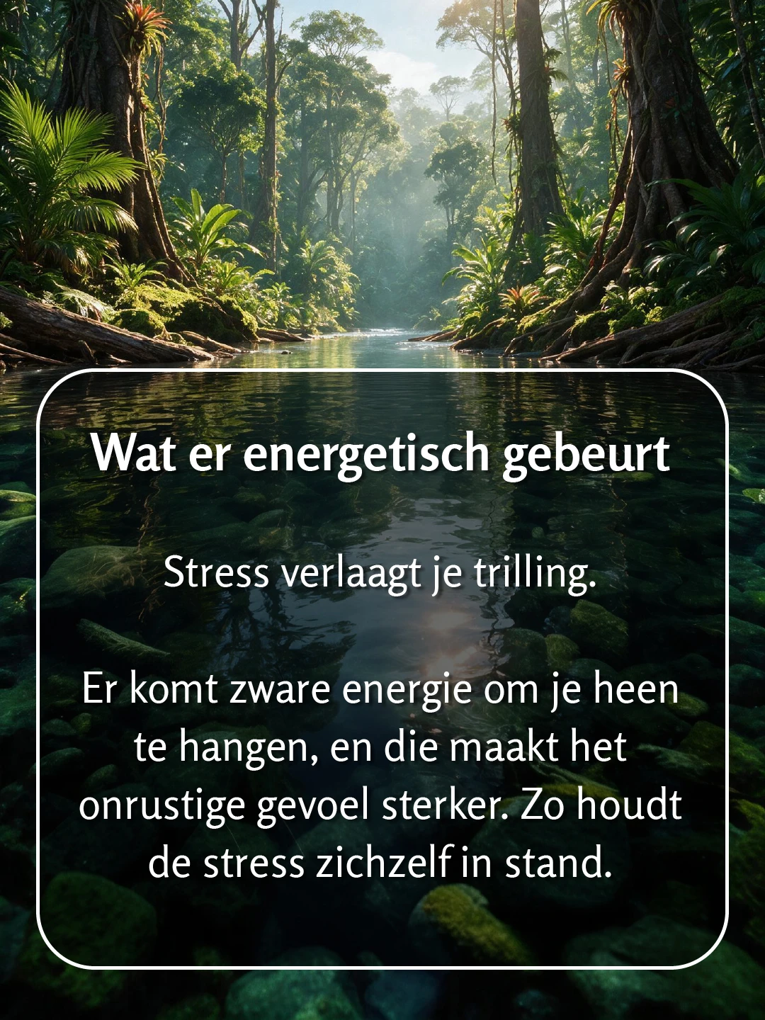 Een smalle rivier tussen dichtbegroeide oevers in het regenwoud, met bromelia's op de boomtakken en nevelig zonlicht tussen de stammen door. Tekst op de foto: 'Wat er energetisch gebeurt. Stress verlaagt je trilling. Er komt zware energie om je heen te hangen, en die maakt het onrustige gevoel sterker. Zo houdt de stress zichzelf in stand.'