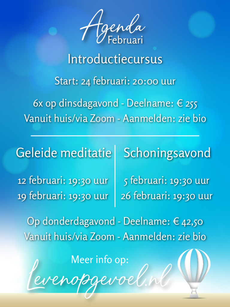 Agenda Februari overzicht met introductiecursus start 24 februari, geleide meditatie data 12 en 19 februari, schoningsavond data 5 en 26 februari, tegen blauwe gradiënt achtergrond met levenopgevoel.nl website