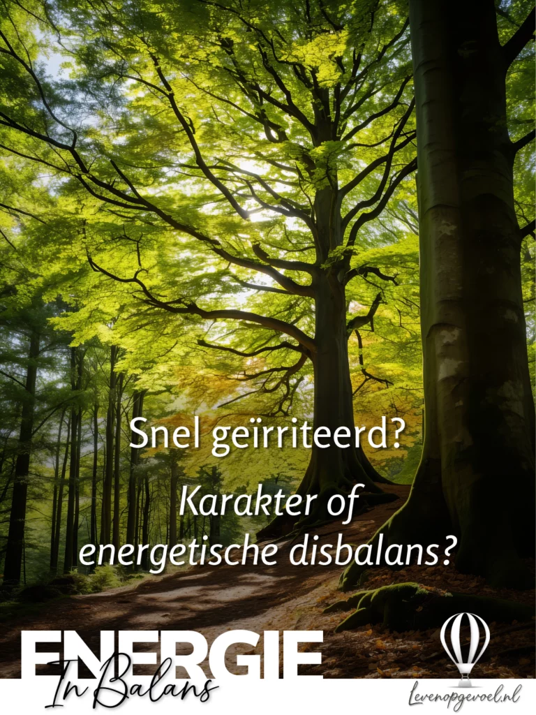 Zonnig beukenbos met heldere groene bladeren en een bospad door het bos, met de tekst: Snel geïrriteerd? Karakter of energetische disbalans? Infographic van Energie in Balans via Levenopgevoel.nl over de invloed van energie op prikkelbaarheid.