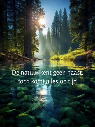Sereen bergmeer met kristalhelder turquoise water, omgeven door dichte groene naaldbomen. Zonnestralen breken door het bladerdak en creëeren gouden lichtstralen die het water doen glinsteren. Rotsen liggen verspreid in het heldere water en de bodem is zichtbaar door de transparantie. Met de tekst: De natuur kent geen haast, toch komt alles op tijd. De foto straalt rust, natuurlijke schoonheid en tijdloze sereniteit uit - perfect passend bij de boodschap over natuurlijke timing en vertrouwen in het proces.