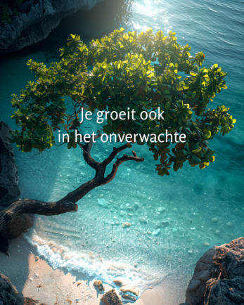 Groene boom groeit uit rotsen boven kristalhelder turquoise water in een kleine baai, met de tekst 'Je groeit ook in het onverwachte